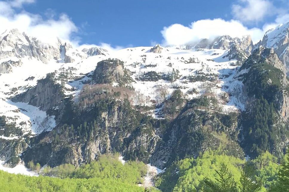 Blick auf ein verschneites Gebirge, im Vordergrund ein paar Tannen