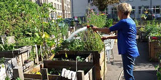 Gärtnern im Ermekeilgarten in Bonn 