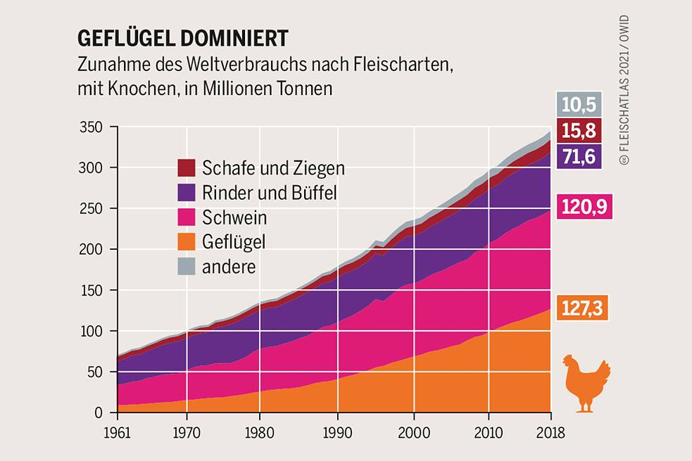 Diagramm zum weltweiten Fleischkonsum 