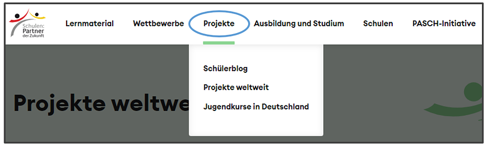 Menü Projekte PASCH