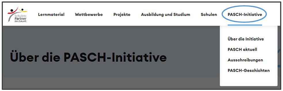 PASCH-Initiative